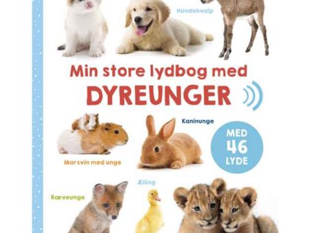 Bolden Min Store Lydbog Med Dyreunger Supply