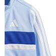 adidas Originals Glow Blue White Team Royal Blue I 3S Tib Tracksuit Supply