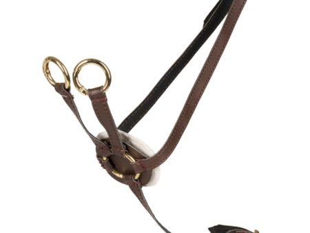 Cheval Roi Martingale for kjepphest brun Fashion