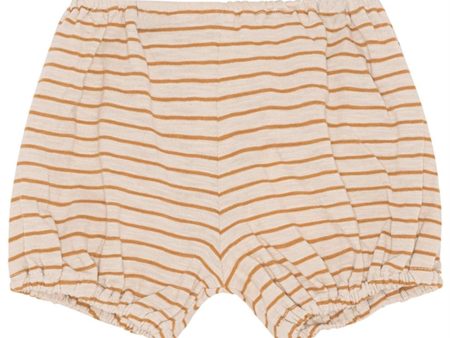 Monsieur Mini Slim Stripes Bloomers Offwhite Toffee Sale