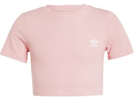 adidas Originals Semi Pink Spark Rib Crop Tee Online now